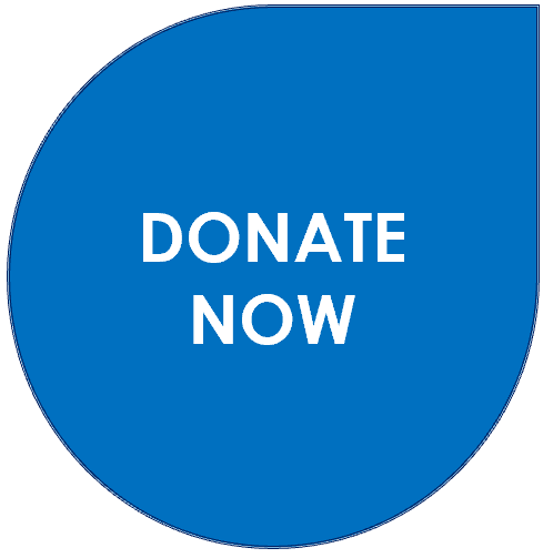 Donate button