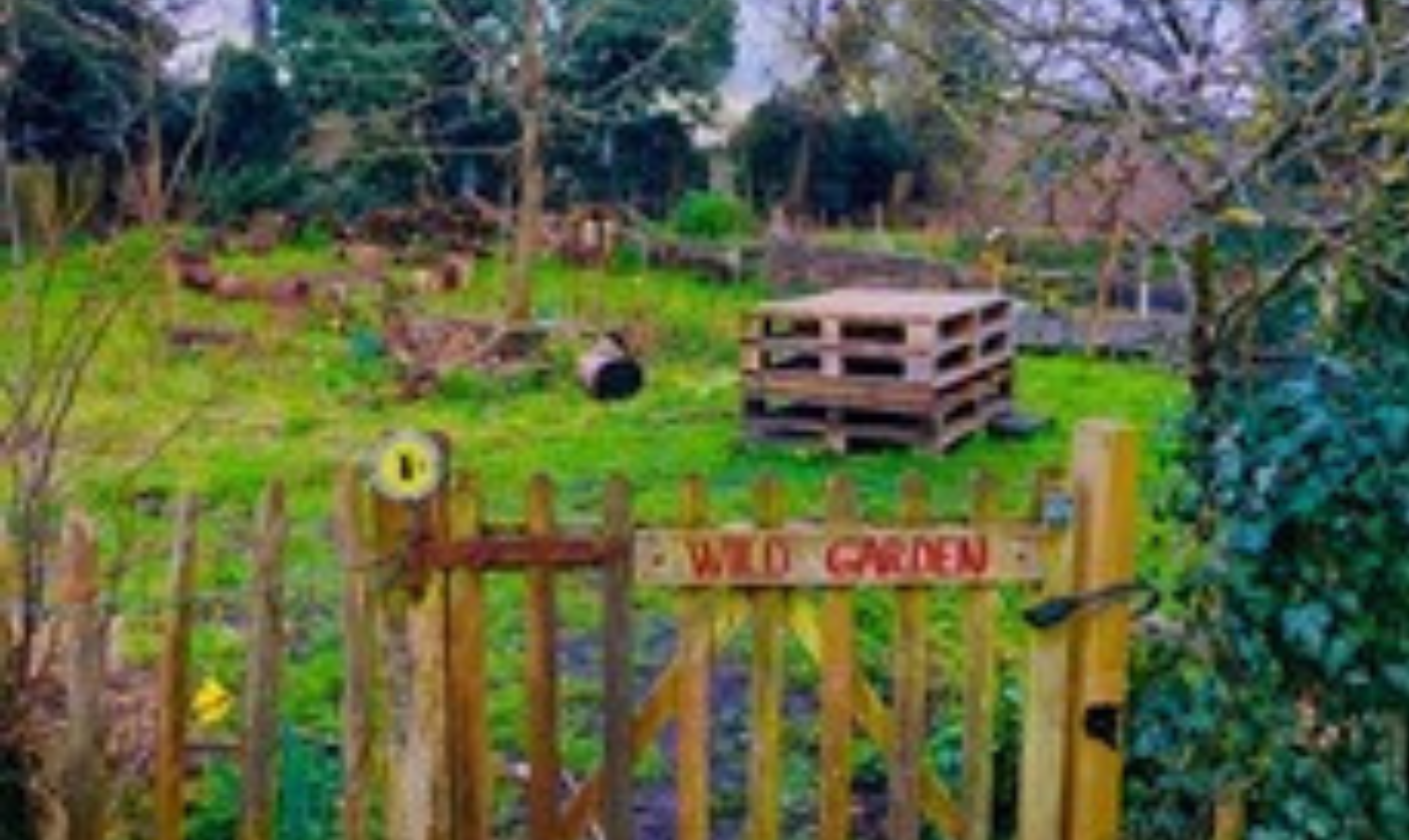 Stoke by Nayland's Wild Garden