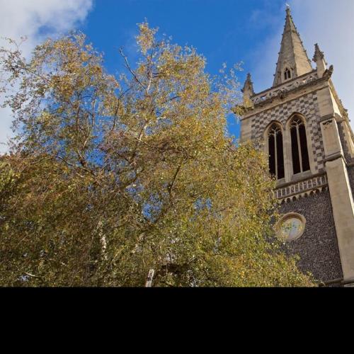 St Mary le Tower, has been chosen to host Sunday Worship on BBC Radio 4